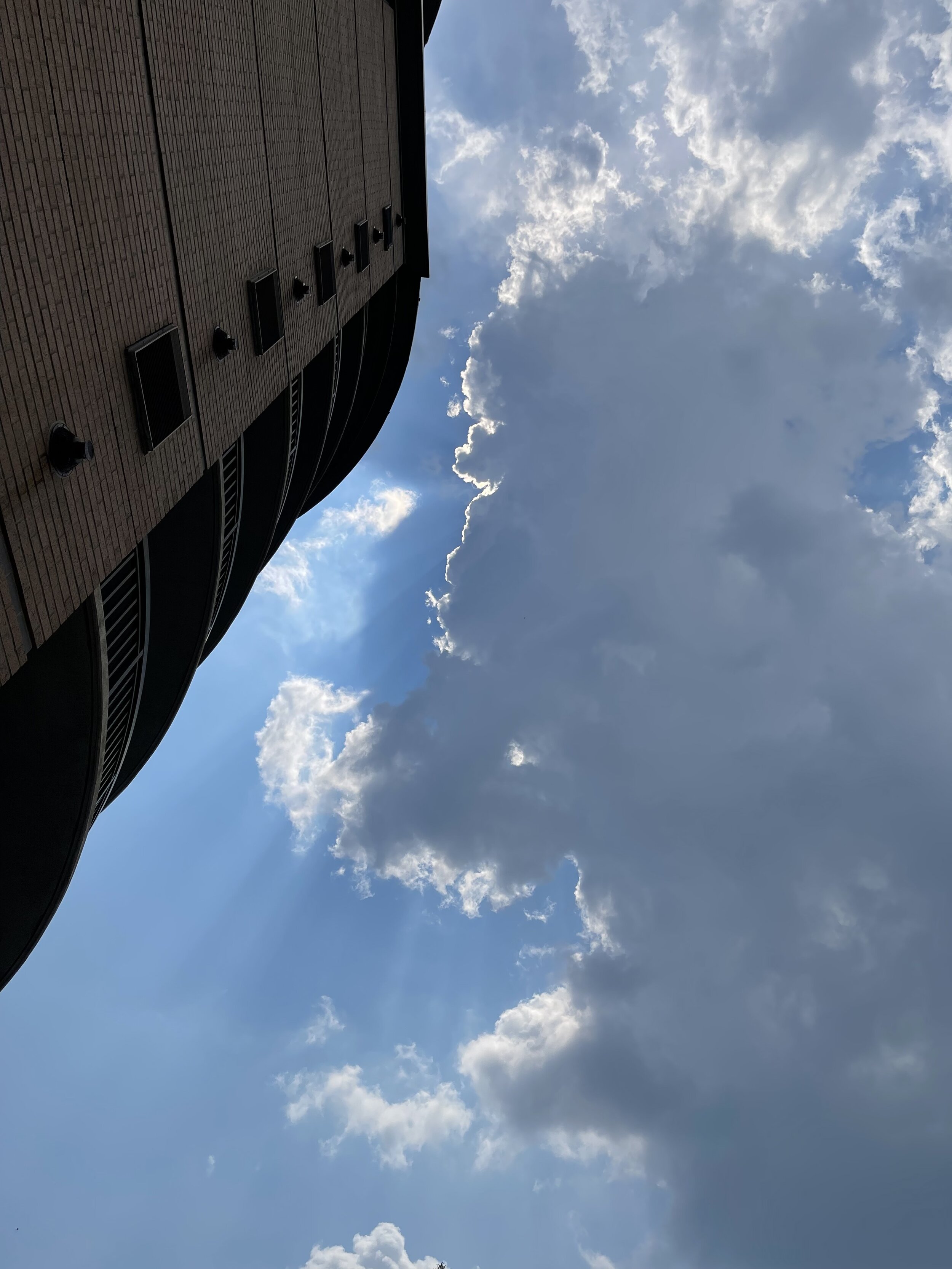  A view from the pool. Photo by me. 